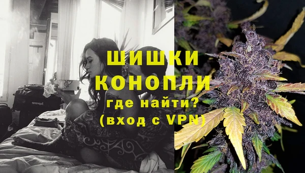 сатива Абинск