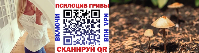 мега как войти  Скопин  Псилоцибиновые грибы Psilocybe 
