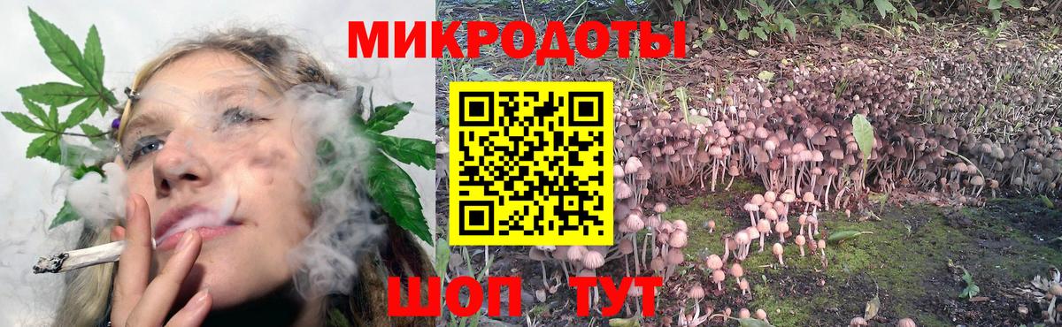 Псилоцибиновые грибы прущие грибы  Псилоцибиновые грибы Cubensis  Вход с VPN  где продают   Скопин 