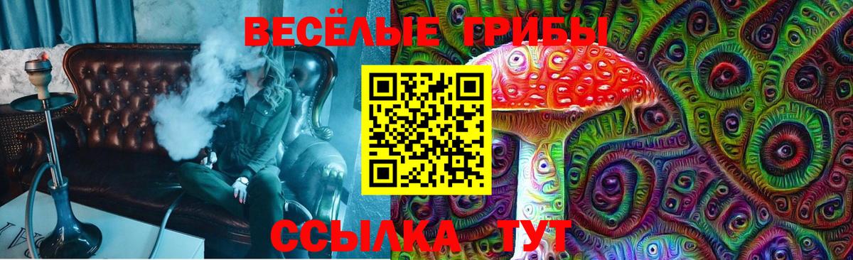 Псилоцибиновые грибы мухоморы Скопин